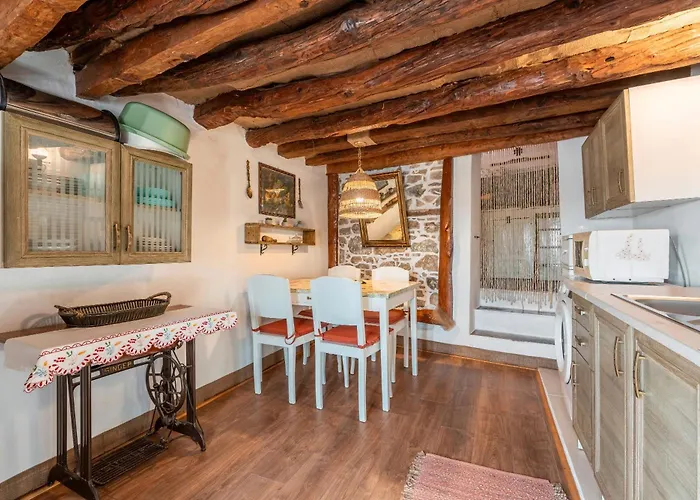 Tis Manas Tatil Evi *